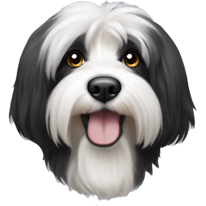 A Hairy black and white tibetan terrier emoji
