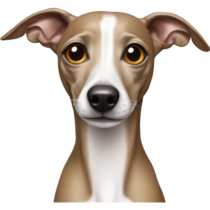 Italian greyhound  emoji