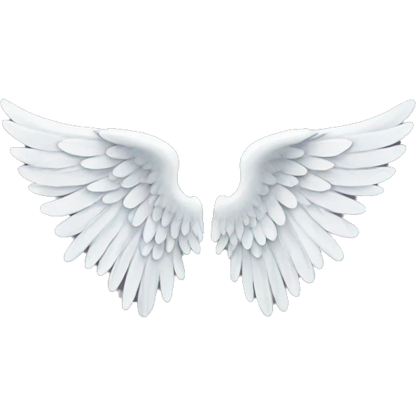 angel wings emoji