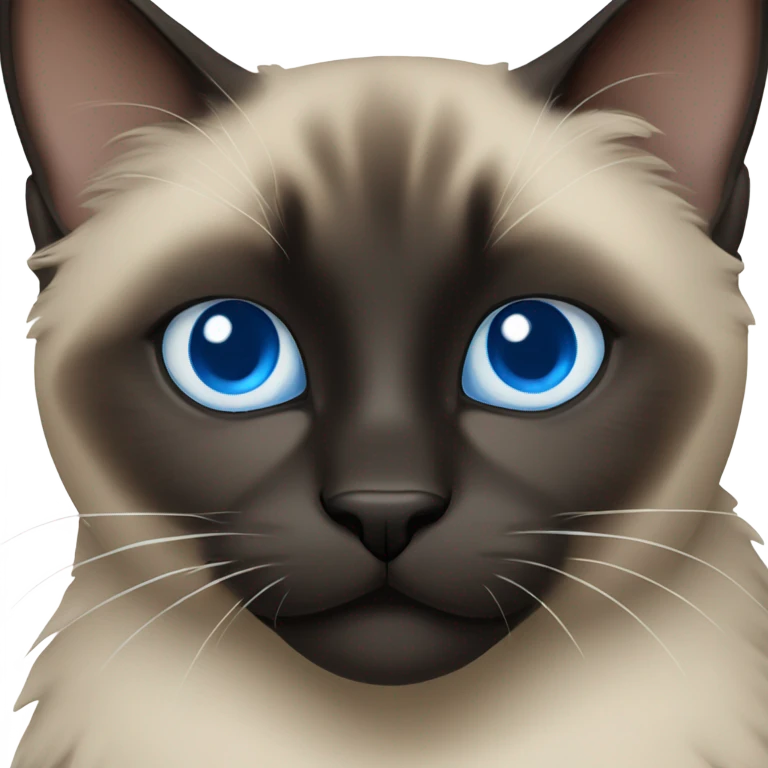 fluffy black and dark siamese cat with blue eyes  emoji