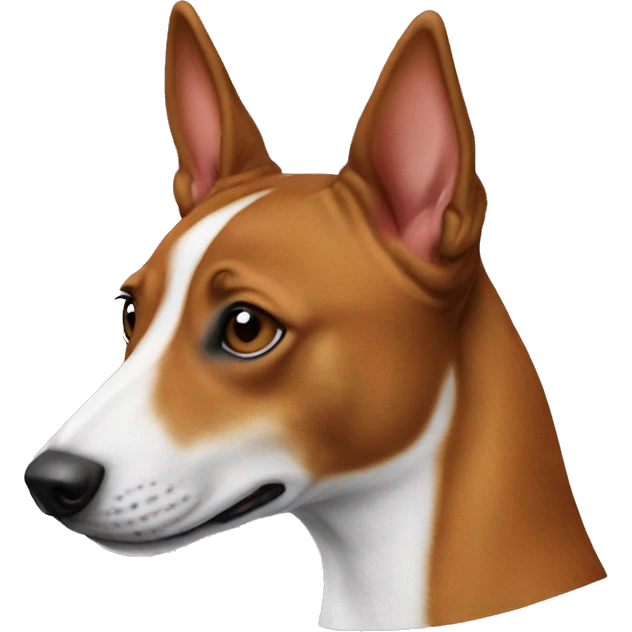 basenji  cap emoji