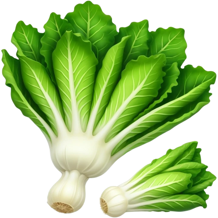 ENDIVE LETTUCE emoji