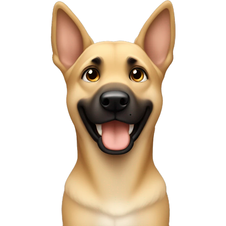 blond boy clap dans les mains malinois calin emoji