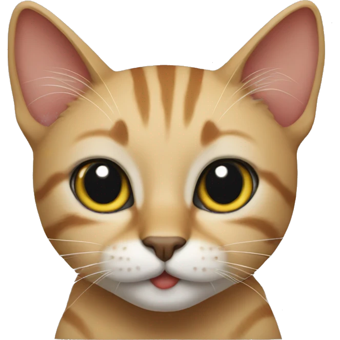 cat bandi emoji
