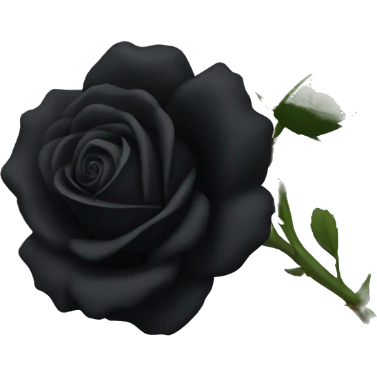 Black rose emoji