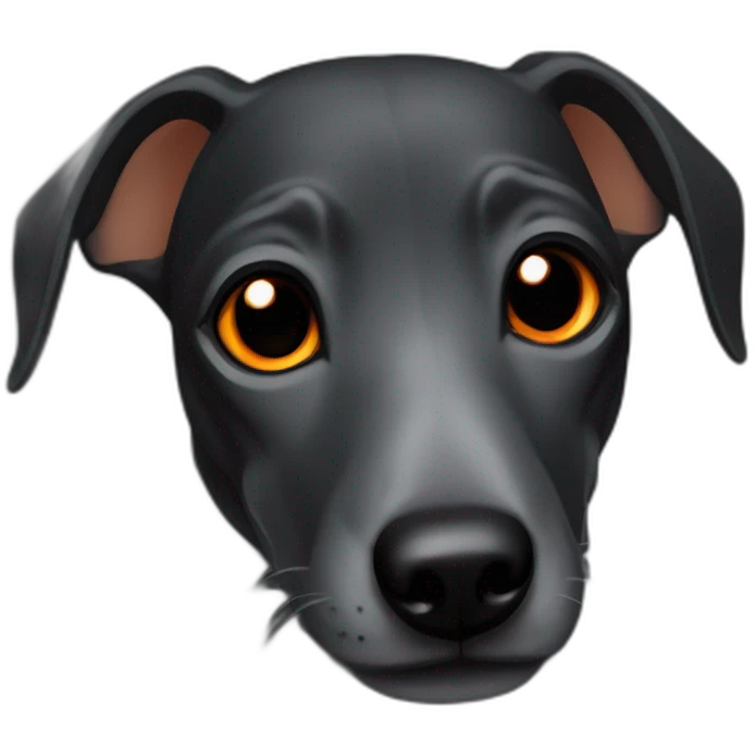 black baby greyhound head with orange eyes emoji