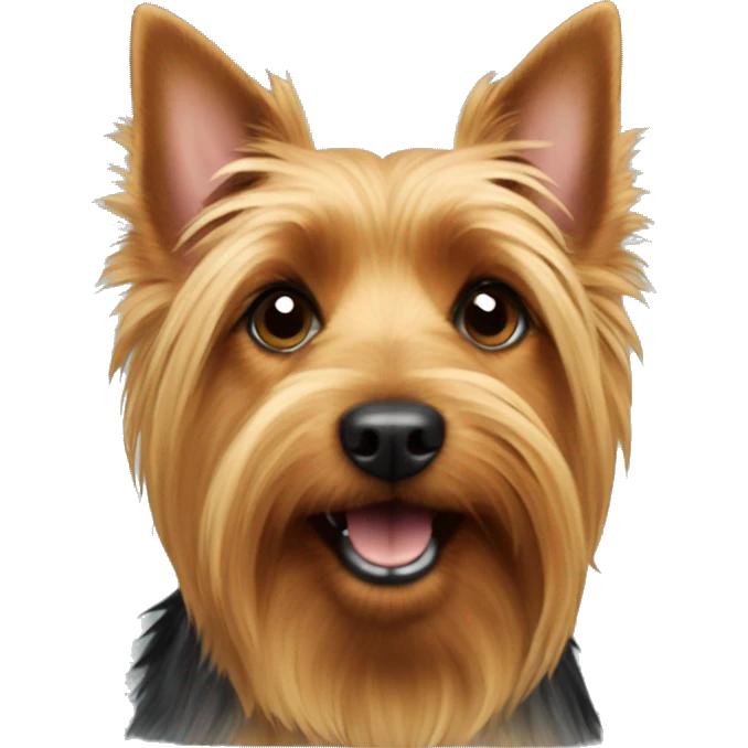 Australian terrier  emoji