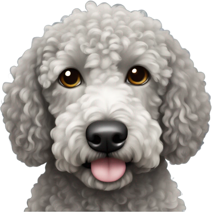 Spanish curly water dog black with black face and white little spot only on its chest emoji