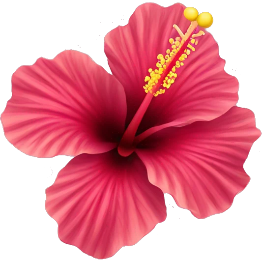 Hibiscus flower  emoji