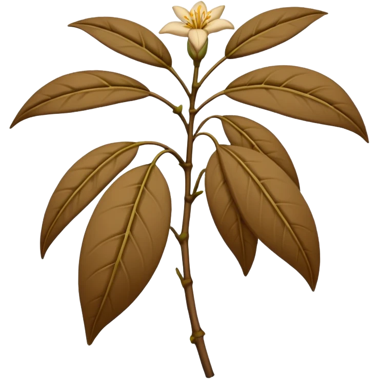 wilted indian jasmine without leaves in emoji format emoji