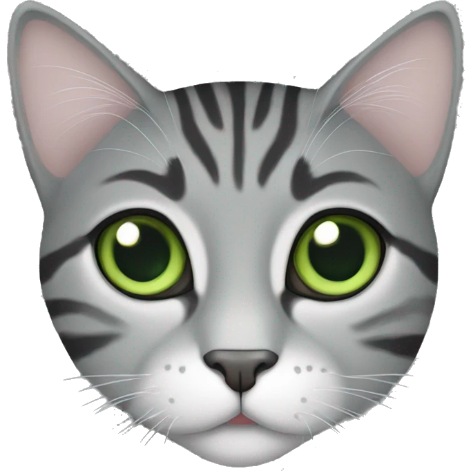 Grey and black tabby cat Green eyes  emoji