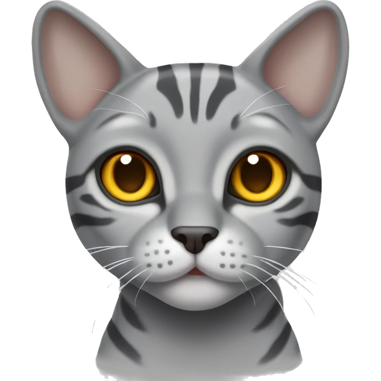  bengal gray silver cat with honey eyes emoji