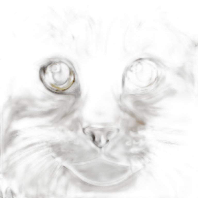 a mainecoon cat emoji