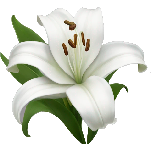 White lilies  emoji
