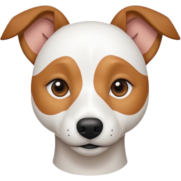 a fully white jack russell the size of a kelpie with light brown ears and a light brown patch on one eye emoji