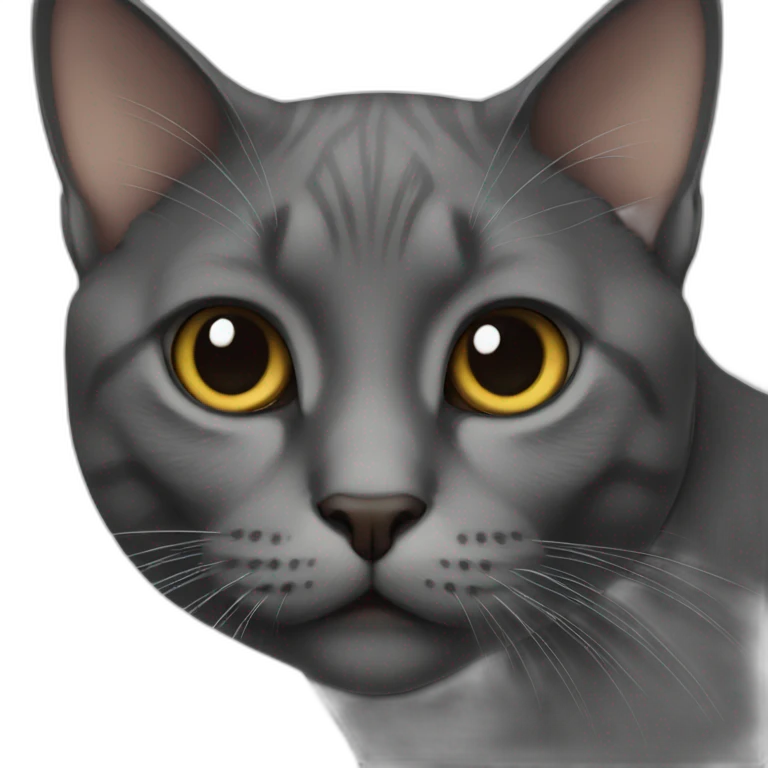 cat black emoji