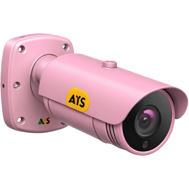Security Camera pink Axis P1346-E emoji