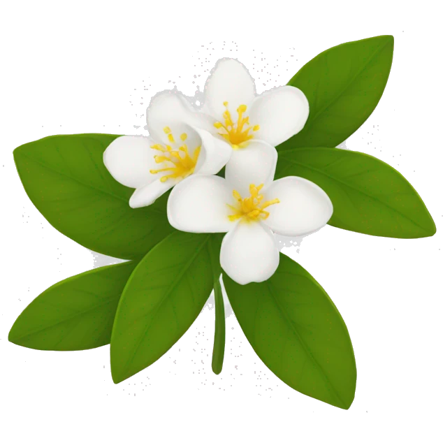  Jasmine flowers with white petals and yellow center of petals with stamens. emoji