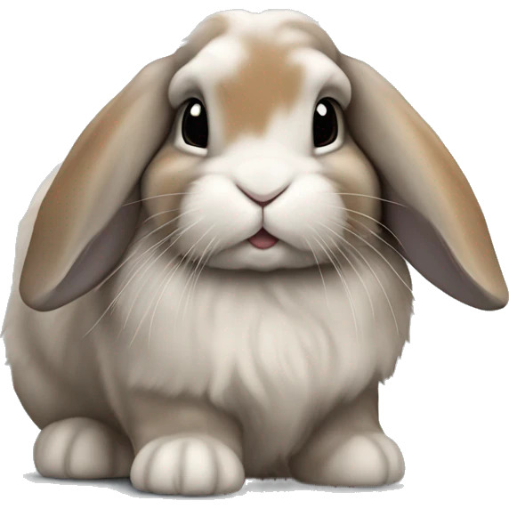 Grey and caramel mottle mini lop bunny emoji