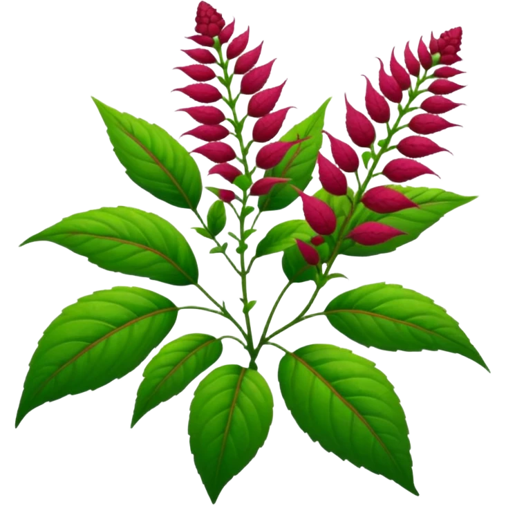 amaranth plant emoji