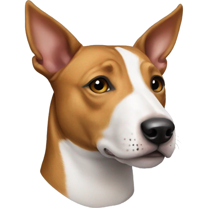 bull terrier basenji mix emoji