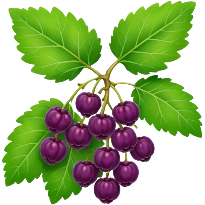 mulberries plant emoji
