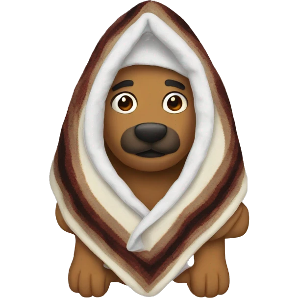 blanket emoji