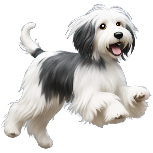 Create an emoji of a Tibetan terrier who is black and white running and playing with snowflakes emoji