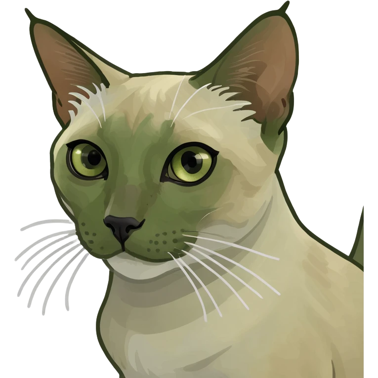 Blue cross eyed Siamese flame point emoji