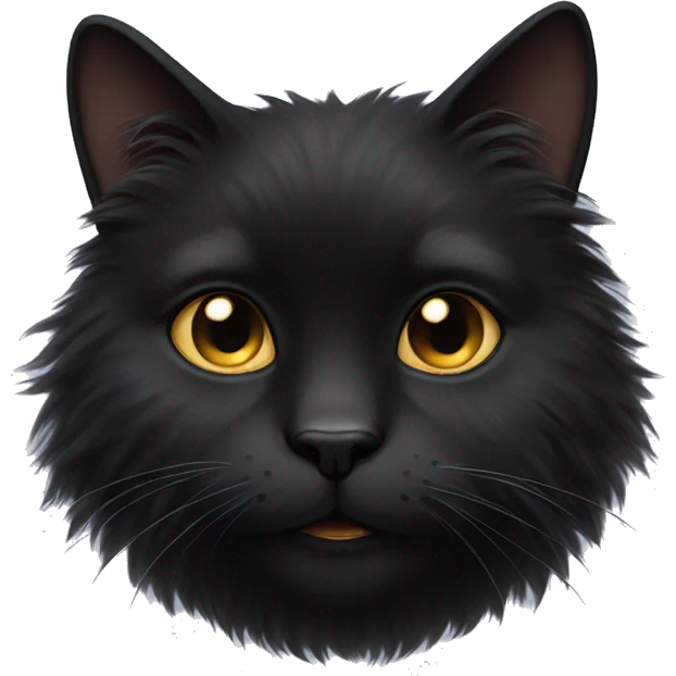 Black fluffy cat  emoji