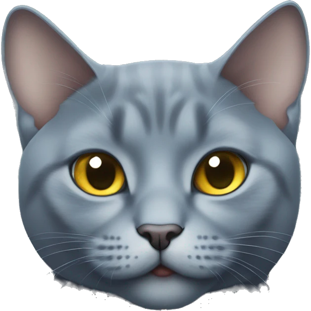 Plump Russian blue cat wearing a diamond chain in a Lamborghini  emoji
