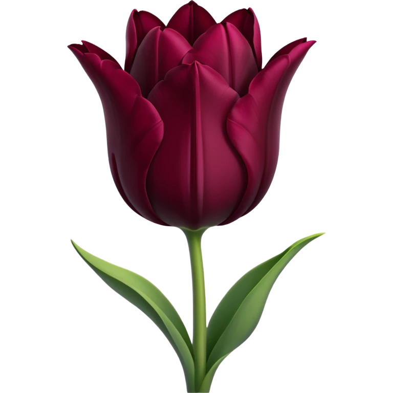 goth tulip with deep burgundy petals, subtle shadow emoji