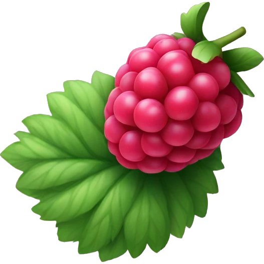 one raspberry without leaf emoji