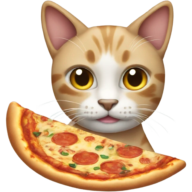 Cat making pizza emoji
