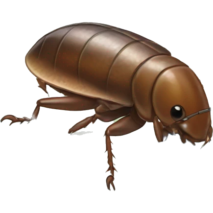 cockroach taking shower  emoji