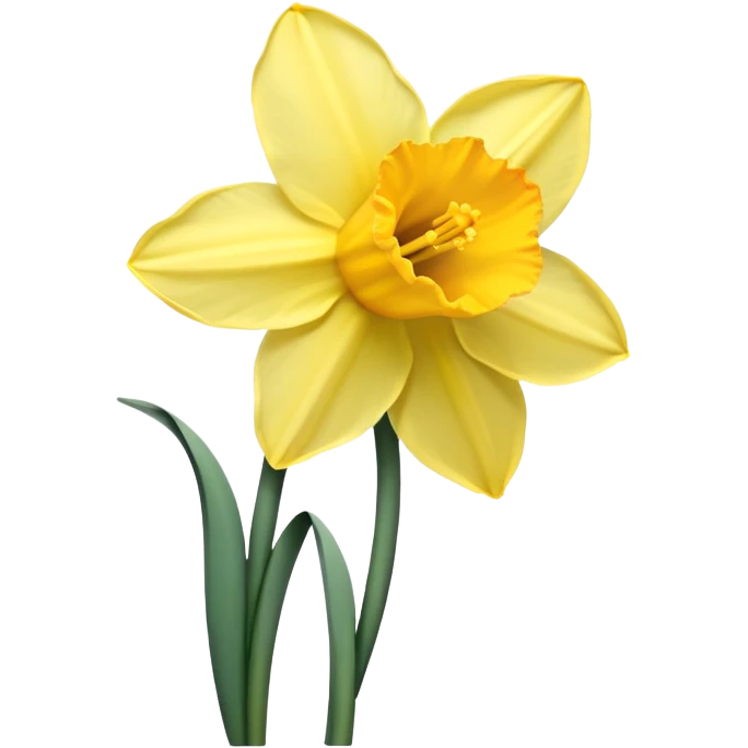 Daffodils flower  emoji