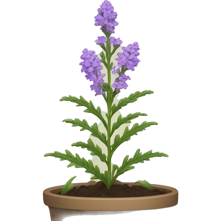 vervain plant emoji