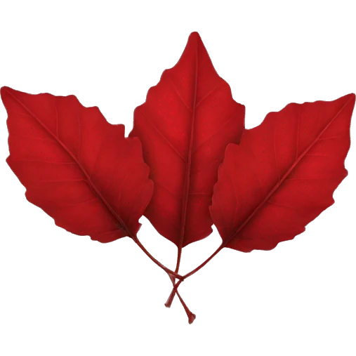 Three red leaves  emoji