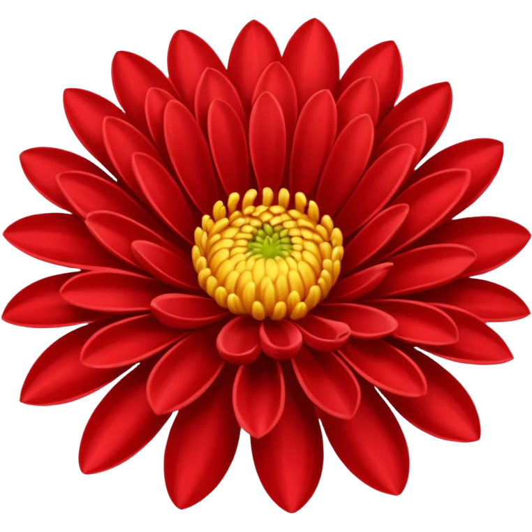chrysanthemum flower red emoji