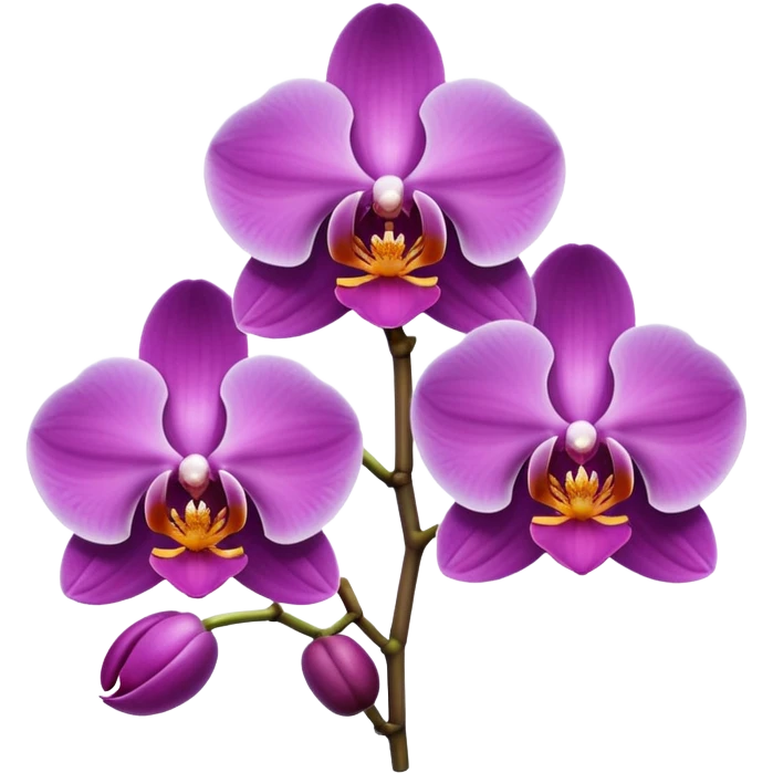 Orquídea  emoji