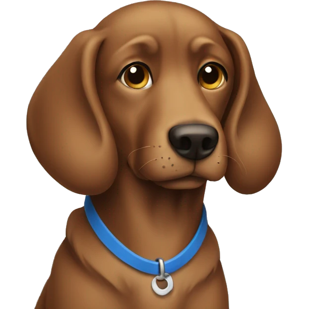 Brown dog wearing blue collar  emoji