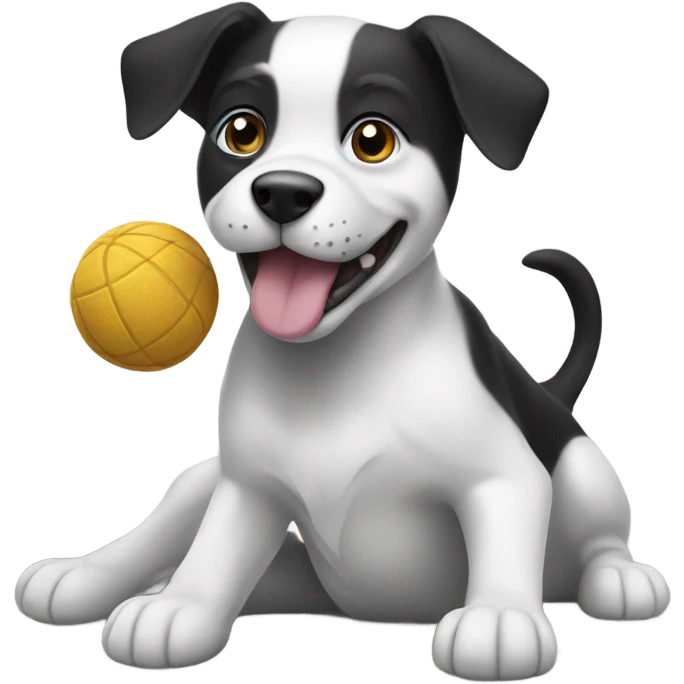 black and white dog playing with a toy emoji