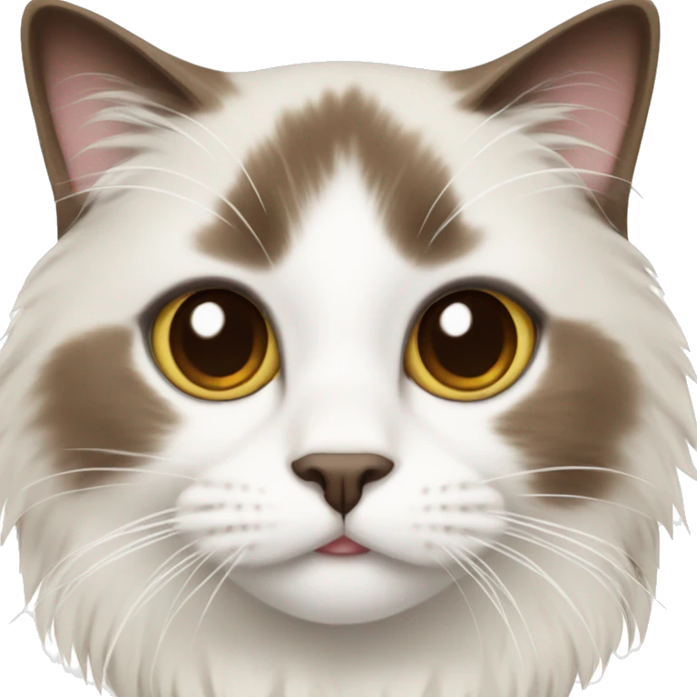 Brown and white ragdoll cat  emoji