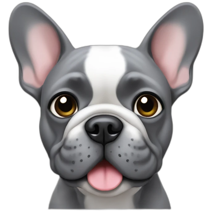 gray french bulldog  emoji