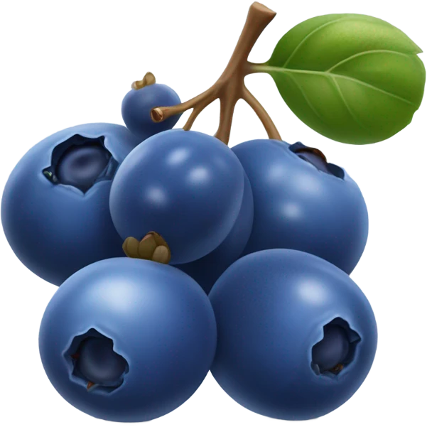 Blueberries  emoji