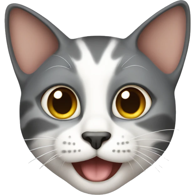 cat in china  emoji