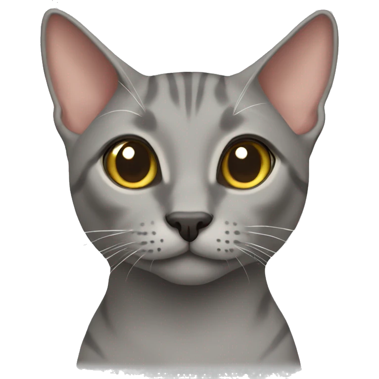 Grey oriental cat  emoji