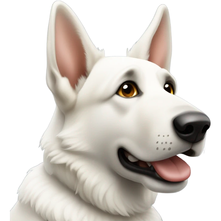 White German Shepherd Dog sitting with head tilted emoji