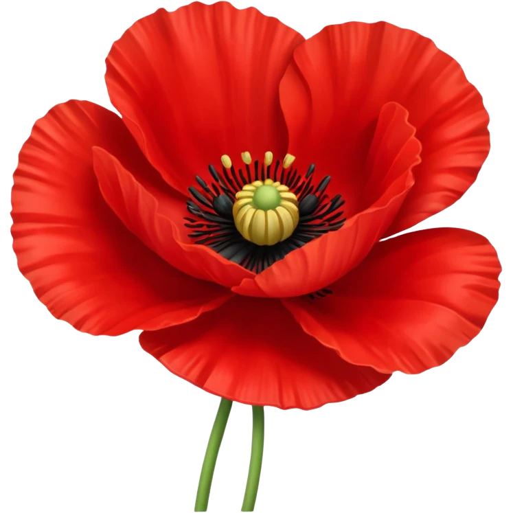 red poppy flower, vibrant, simple, iconic, apple emoji style, iOS 18 emoji