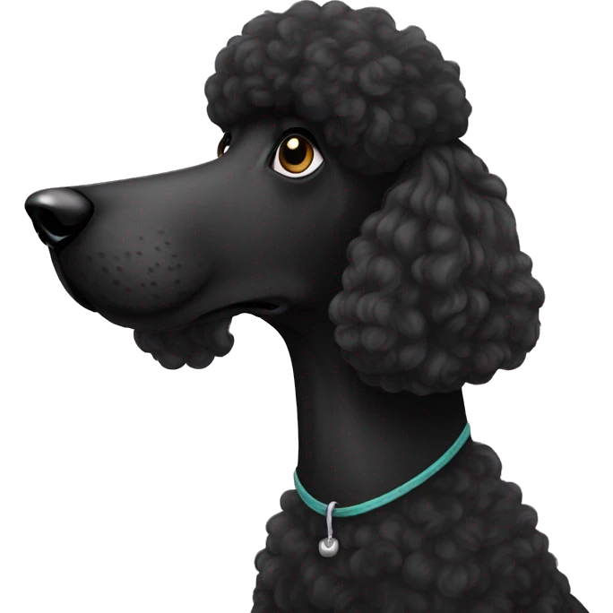 Black standard poodle  emoji